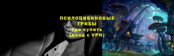 амф Инсар