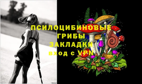 амф Инсар