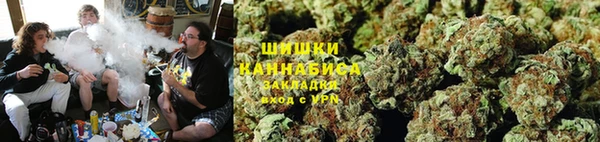 амф Инсар