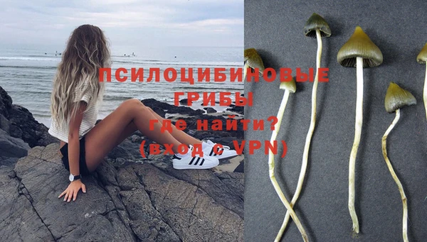 амф Инсар